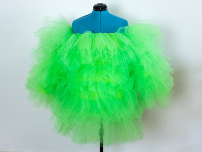 Ruffle Tulle Mini Dress